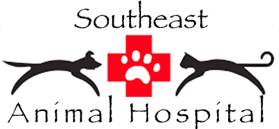 Southeast Animal Hospital